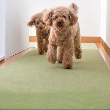 日本SANKO 日本製防水止滑廚房地墊120x60cm - 綠色