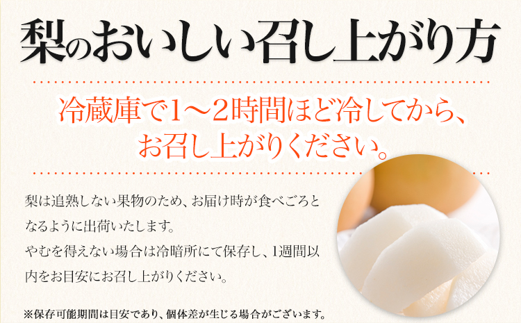 梨 幸水 豊水 くまもと梨 先行 果物 秋 旬 フルーツ ナシ なし 先行予約 送料無料 訳あり SDGs あきづき 甘太 新高 新興 約4.5kg-5kg 8玉～22玉前後 熊本県産 果物 《8月下旬‐11月中旬頃より順次発送》旬 果物 フルーツ お取り寄せ---fn_cngsnasir_h811_24_12000_5kg---