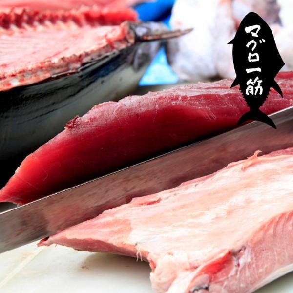 まぐろ大間産 天然本マグロ 赤身 [200g×3柵] 大間のまぐろ 一本釣り 生まぐろ 刺身用 大間港直送［お歳暮 2023 ギフト 御歳暮］