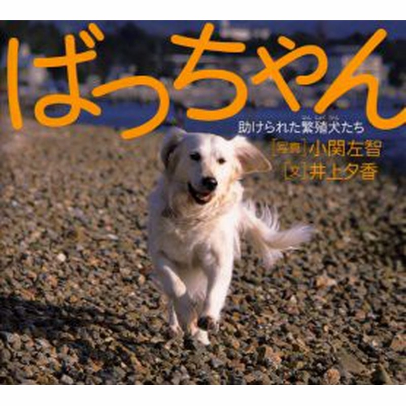 新品 本 ばっちゃん 助けられた繁殖犬たち 井上夕香 文 小関左智 写真 通販 Lineポイント最大1 0 Get Lineショッピング