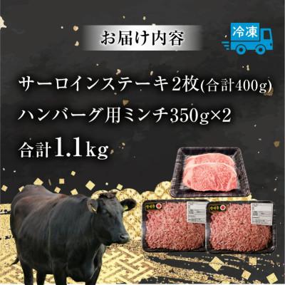 ふるさと納税 宮崎市 宮崎牛 サーロインステーキ  ハンバーグ用ミンチ セット 合計 1.1kg(宮崎市)