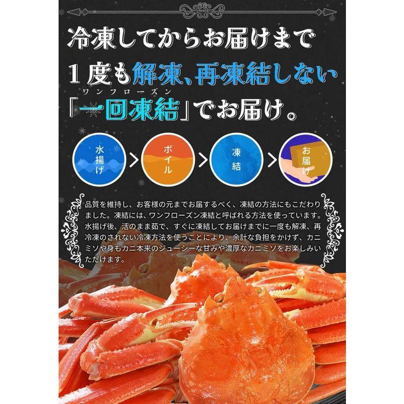 かに ずわいがに ボイル 姿 ３尾で１.８ｋｇ前後（６００ｇ前後×３ハイ） かにみそ 年末年始 本ズワイガニ 蟹