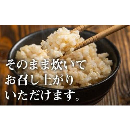 ふるさと納税 新潟県 小千谷市 r05-50-1KT 〔定期便 毎月〕〔玄米 選別品〕令和5年産 魚沼産コシヒカリ玄米定期便 5kg×6回（米太）