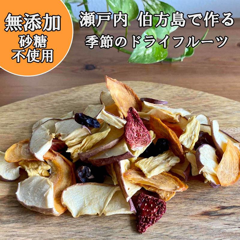 ドライフルーツ ミックス 無添加 砂糖不使用 旬の果物 大粒 50g  国産 リンゴ イチジク 無花果 柿 パイン（フィリピン産）  府藤果樹園