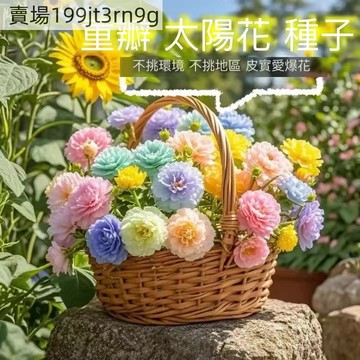 現貨 17款稀有太陽花種子（1000粒） 多彩鮮艶花卉種子 四季種植易養易活 超美 寵物也喜歡 超低價 庭院陽台種植花卉