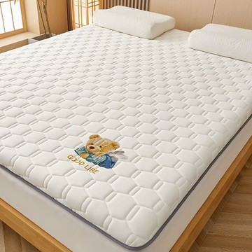 工廠現貨 免運 床墊 單人床墊 雙人床墊  床墊軟墊家用夏季榻榻米宿舍學生單人冬夏兩用地鋪海綿睡墊子藤席特惠/開立發票 全館八折 Y1209