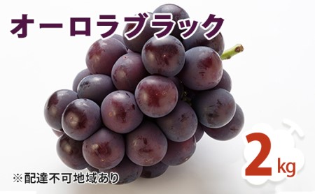 オーロラブラック 2kg ぶどう 葡萄 フルーツ 果物 岡山県 岡山県産 2024年 先行予約