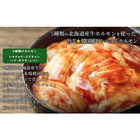 ふるさと納税 北海道焼肉セット(山幸シャンクジンギスカン・北海道産牛甘辛ヤンニョムMIXホルモン 合計1キロ) 北海道池田町