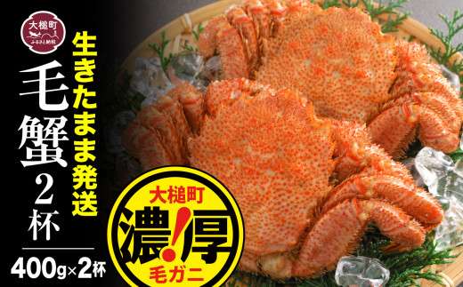 三陸産！活毛ガニセット(400g×2杯(2尾))　天然 国産 冷蔵 三陸 濃厚 かに 蟹 カニ 毛ガニ 毛蟹 毛がに