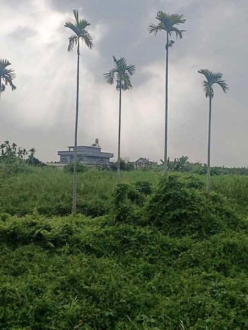 屏東新埤鄉村田園休閒開心農場一般農業區19873｜屏東縣新埤鄉東興段