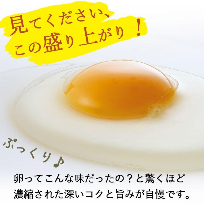 手づくり卵農場 平飼い卵 紅輝卵 こうきらん 30個入り 山形県産 クール便
