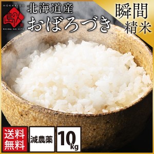 米 おぼろづき 10kg 無洗米 白米 玄米 (選べる精米方法)北海道産 送料無料 お米 こめ