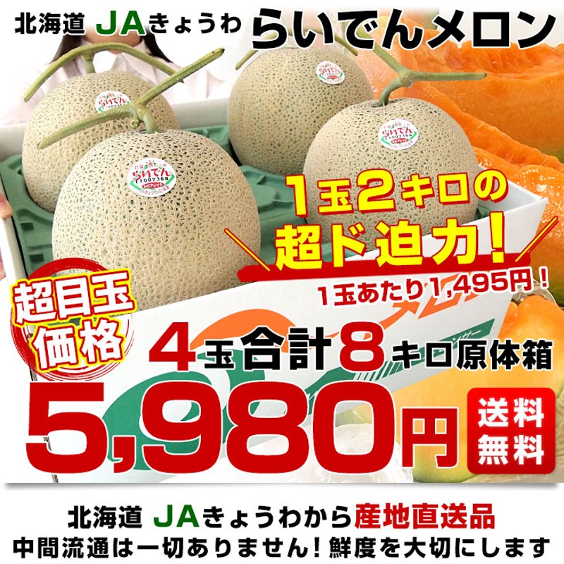 北海道産 赤肉メロン 4玉 約8キロ 数量限定