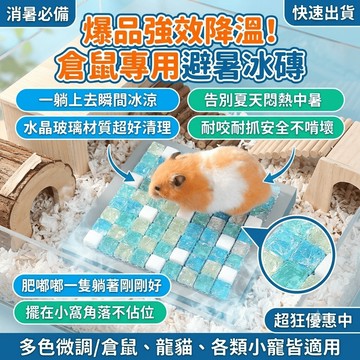 寵物涼墊 倉鼠涼墊 寵物冰墊 倉鼠降溫屋 龍貓散熱墊 避暑冰磚 降溫用品 空調