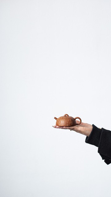 寒江孤影 江湖故人   江湖  把玩器 80cc 每个人的心中都有宜興紫