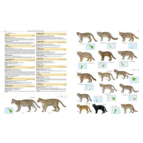 Illustrated Checklist of the Mammals of the World