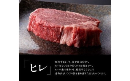 ※令和6年2月より順次発送※黒毛和牛 ステーキセット  肉 牛肉 国産牛肉 牛 黒毛和牛 牛 宮崎県産牛肉 牛 牛肉 ヒレ ロース ステーキセット 訳あり 牛 牛肉 送料無料牛肉