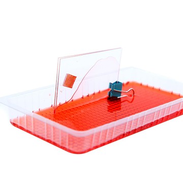 「雙成教具」水往玻璃上爬 科學實驗 stem創客教育材料科技小製作毛細現象小學