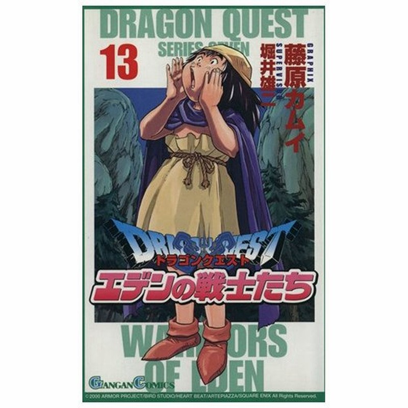 ドラゴンクエストviiエデンの戦士たち １３ ガンガンｃ 藤原カムイ 著者 通販 Lineポイント最大0 5 Get Lineショッピング