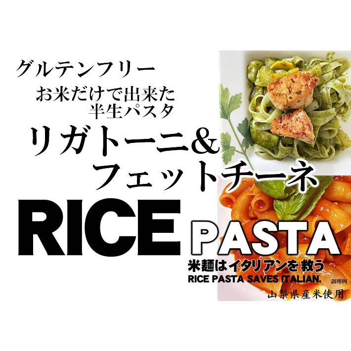 ライスパスタ 半生パスタ リガトー二（ショート） フェットチーネ（平麺） 各3食