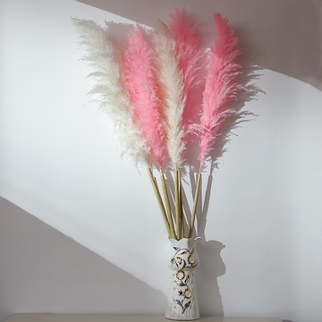 蒲葦干花 ins花束粉色大蘆葦 客廳裝飾 婚慶拍攝道具落地裝飾1入
