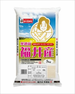 幸南食糧　福井産華越前（国産） 5kg×1袋／こめ／米／ごはん／白米／