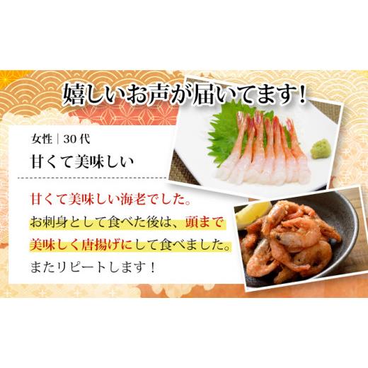 ふるさと納税 北海道 登別市 登別海の幸〜北海道産 冷凍甘えび400g×2パック