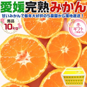 完熟 愛媛 みかん 秀品・贈答用 箱買い 10kg 1箱 サイズお任せ 愛媛県産 みかん・柑橘 お買得 …