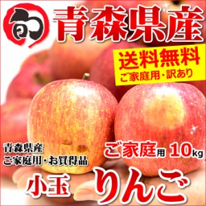 青森県産 りんご サンふじ(小玉) 10kg (ご家庭用 40～60玉 生食可)