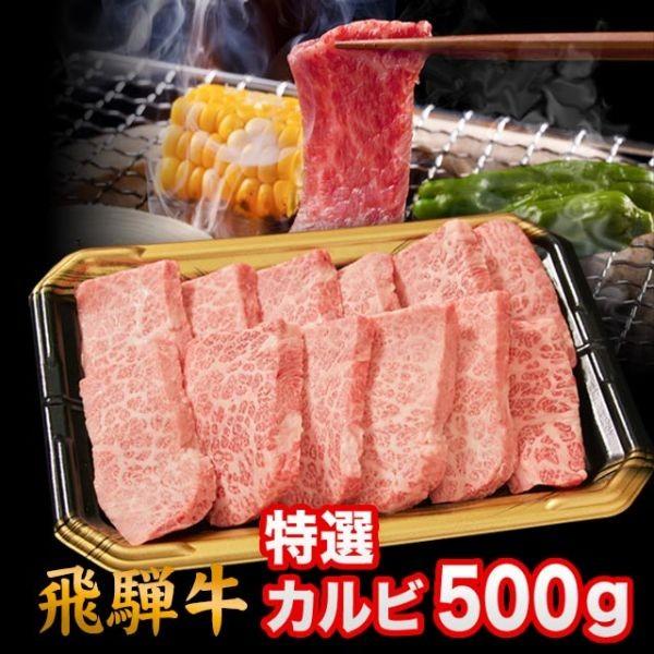  飛騨牛 焼肉 特選カルビ 500g 3人前 特上カルビ 上カルビ A5 A4 ランク 牛肉 和牛 国産 焼肉用