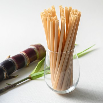 renouvo 環保甘蔗吸管 平口 杯飲使用 210 x 8mm  1個  100個裝