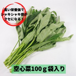 空芯菜（クウシンサイ・エンサイ） 袋入り 100g程度 炒め物 お浸し