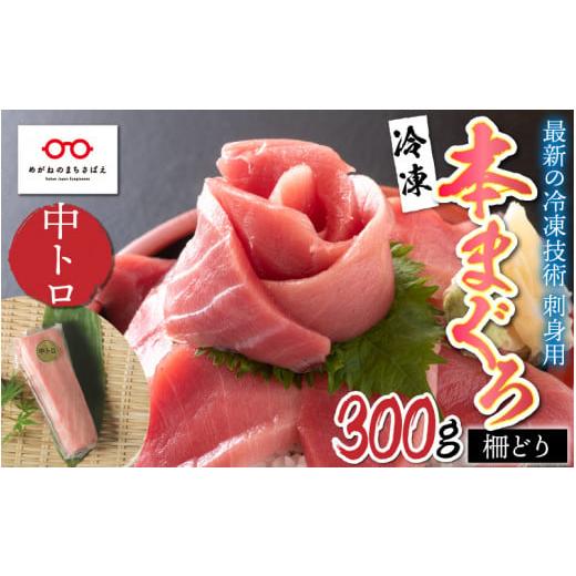 ふるさと納税 福井県 鯖江市 本マグロ 中トロ 300g（柵どり） [B-11014]