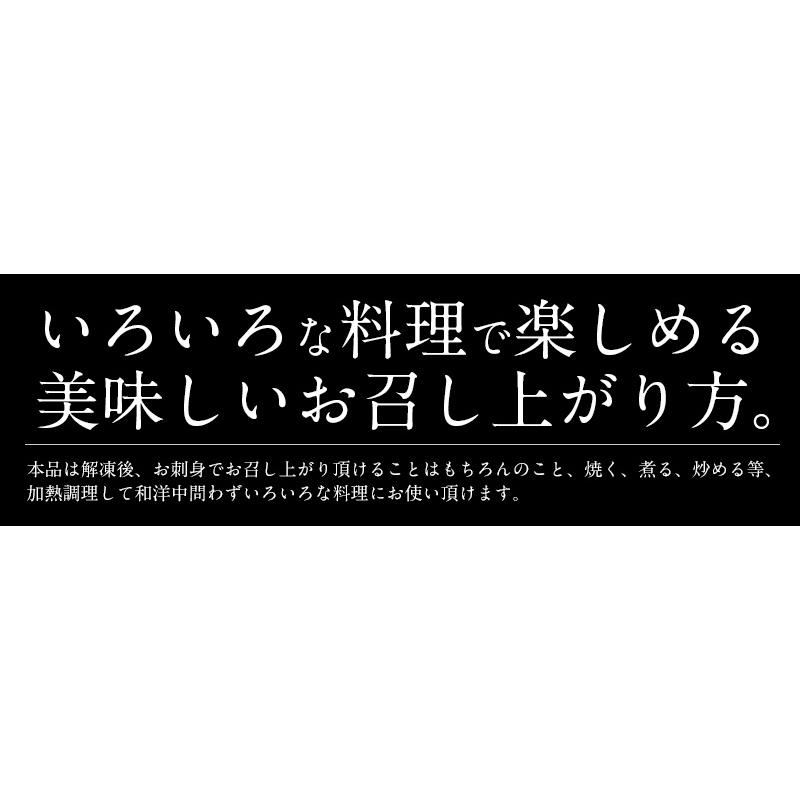 つぶ貝 ツブ貝 粒貝 つぶ貝開き 500g バイ貝 ばい貝 特大サイズ 刺身 冬グルメ 冬ギフト