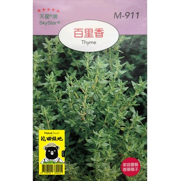 花田綠地種子-百里香