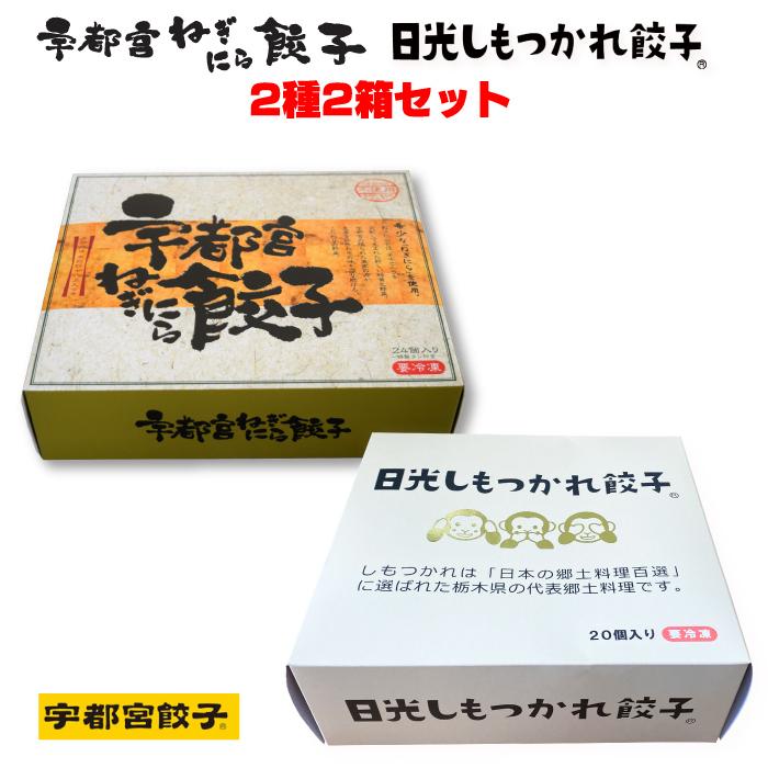 宇都宮餃子会加盟店 宇都宮ねぎにら餃子＆日光しもつかれ餃子 2種 2箱セット 44個入 FN046