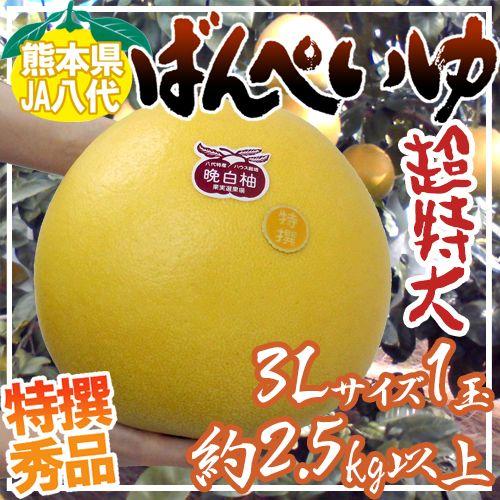 熊本県八代特産 ”晩白柚” ばんぺいゆ 秀品 超特大3Lサイズ 約2.5kg