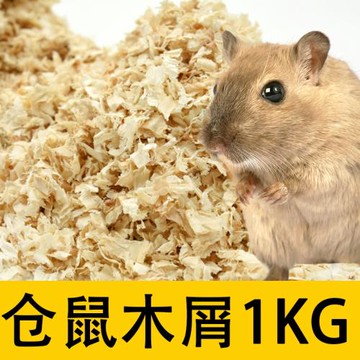 倉鼠專用木屑白楊木刨花金絲熊豚鼠小寵紙棉保暖干燥無塵墊料浴沙