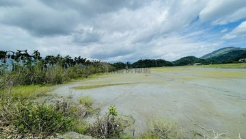 《專售》鳳林山崎段農地 5F1500｜花蓮縣鳳林鎮山崎段