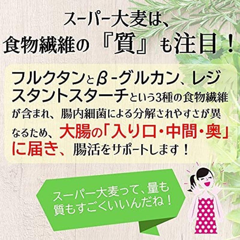 食物繊維量がもち麦の1.6倍「スーパー大麦のちから」(120g＊5袋)