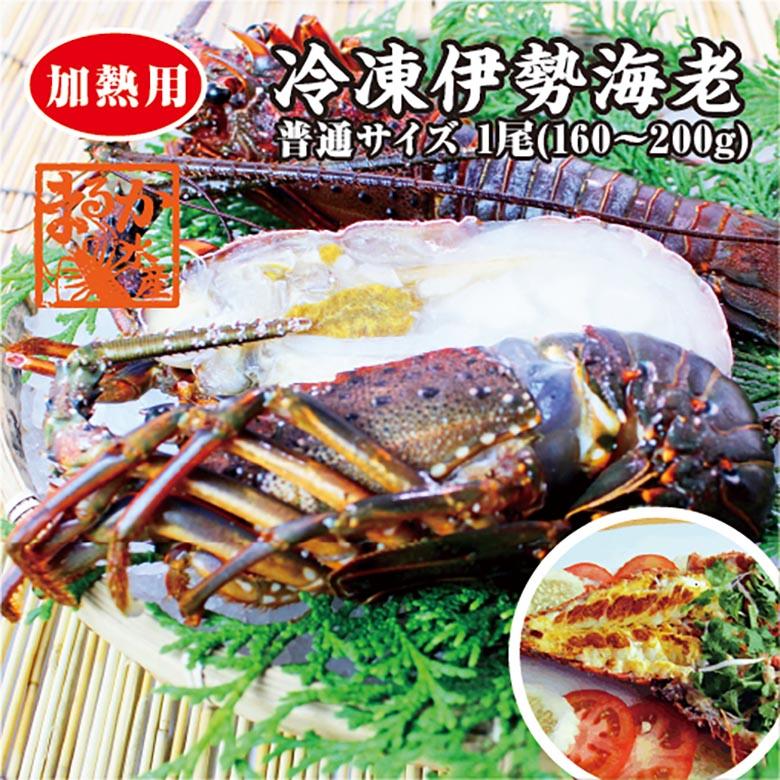 伊勢海老　冷凍（加熱用）　中（160〜200ｇ）　　[魚介類]　（活〆冷凍）