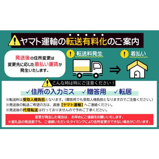 ふるさと納税 福岡県 川崎町 厳選ドライいちじく 3Y4