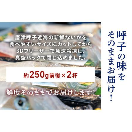 ふるさと納税 唐津呼子産いか活造り 2杯(約250g×2) 急速冷凍 新鮮そのまま食卓へ！イカ 刺身 簡単 ギフト 佐賀県唐津市