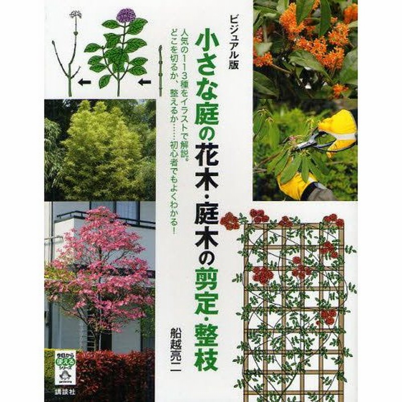 小さな庭の花木 庭木の剪定 整枝 ビジュアル版 人気の113種をイラストで解説 どこを切るか 整えるか 初心者でもよくわかる 通販 Lineポイント最大0 5 Get Lineショッピング