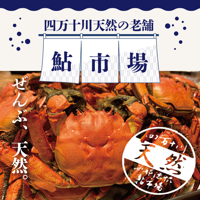 R5-984．最高級天然食材！四万十川の天然ツガニ 約1.5kg（8～12匹）