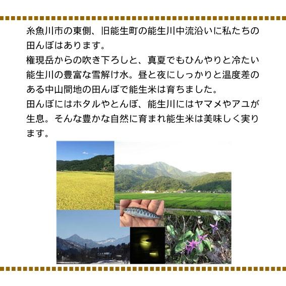 新米 令和5年産 米 お米 10kg こしいぶき 5kg×2 白米 新潟 送料無料 糸魚川 能生米 農家直送  精米