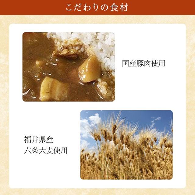 送料無料　福井大麦倶楽部 レトルト六条大麦カレー　中辛　国産豚肉使用　非常食　お取り寄せ グルメ