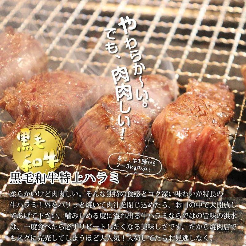 リッチな特上焼肉セット（2?3人前 560g）黒毛和牛の特上ハラミ＆特上カルビ入り