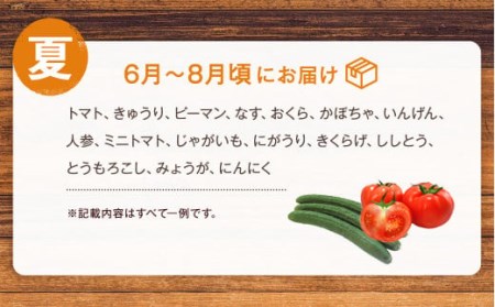 八代市産 旬の農産物詰合せ 復興 福袋 8品以上 野菜 果物 東陽地区