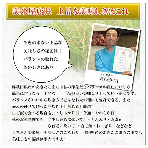 新米 秋田県 無洗米 秋田小町 5kg 令和5年産